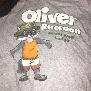 Great Wolf Lodge top